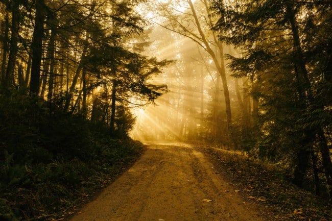 [Podcast] Shaping the Sales Career Path