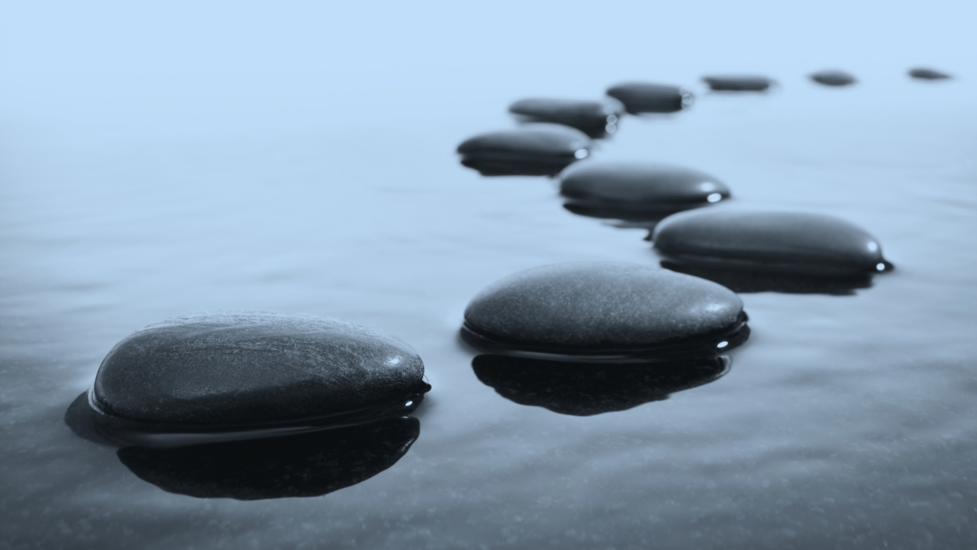 How Can Professional Services Firms Build More Consistency into Business Development Follow-Up?